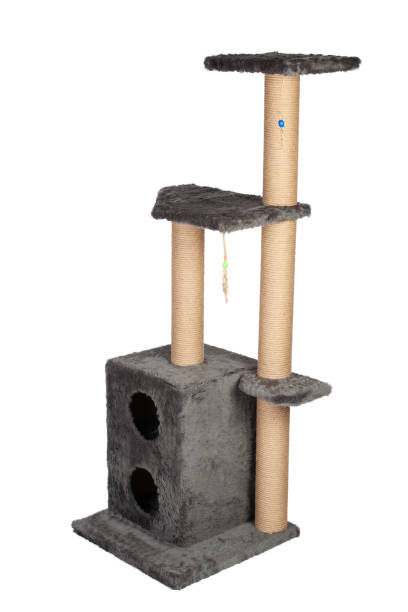 istock cat house and cat toy 1410710031