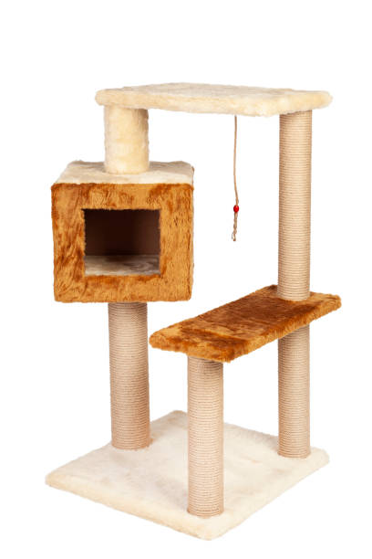 istock cat house and cat toy 1410710046