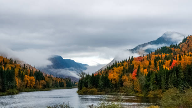 Jacques Cartier river valley Jacques Cartier river valley, national park, at Fall on a foggy day, Quebec, Canada boreal forest stock pictures, royalty-free photos & images