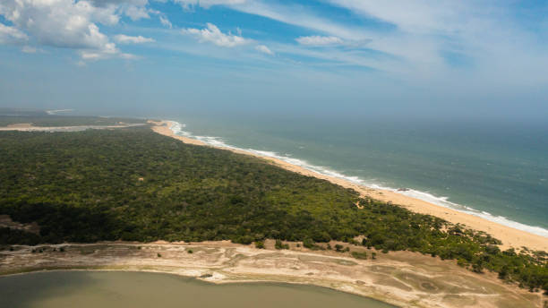 istock Tropical landscape: Ocean and jungle in the national park. 1410712525