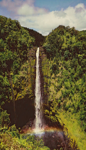 parco statale di akaka falls, - hawaii islands big island waterfall nobody foto e immagini stock