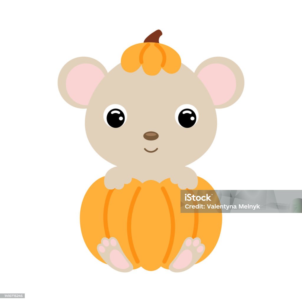 Con Chuột Nhỏ Dễ Thương Ngồi Trong Một Quả Bí Ngô Nhân Vật Hoạt ...
