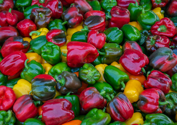 istock Pile of bell pepers 1410720787