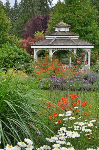 istock Summer garden gazebo 1410723832