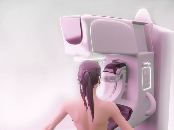 dispositivo mammografico per lo screening del cancro al seno modello donna 3d .3d rendering. - lactiferous duct foto e immagini stock