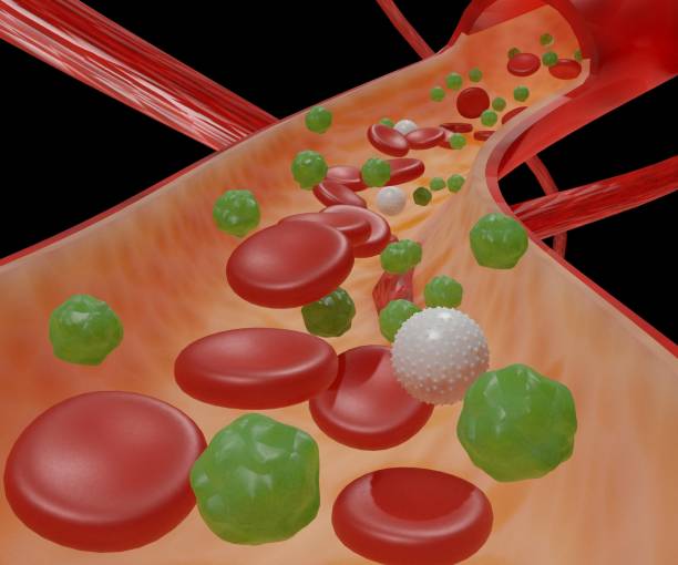 istock Glucose molecule travels through bloodstream to cells 1410732664
