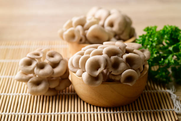 Fresh Oyster mushroom in wooden bowl, Edible mushroom stock photo