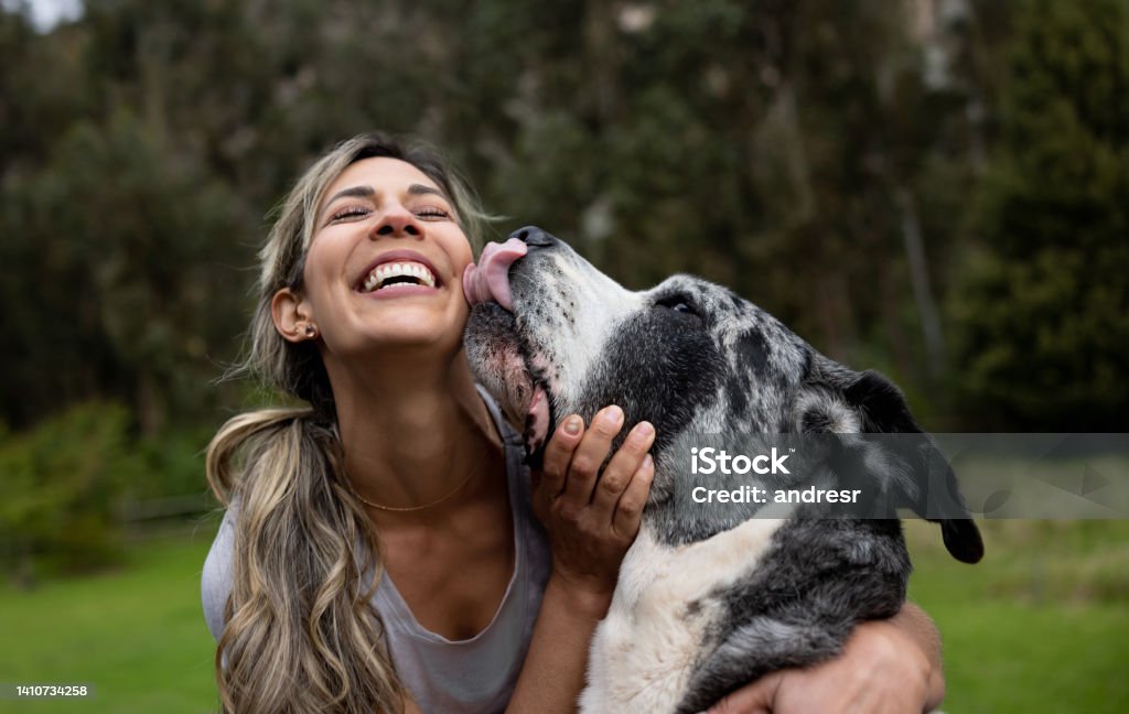 Happy woman playing with her dog outdoors Happy Latin American woman playing with her dog outdoors - pets concepts Great Dane Stock Photo
