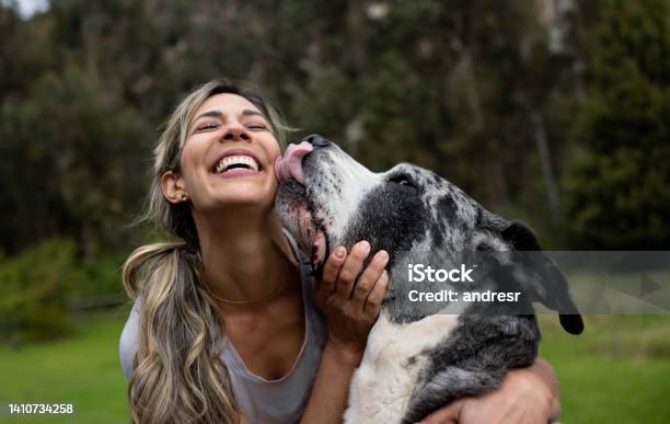 Happy Woman Playing With Her Dog Outdoors Stock Photo - Download Image Now - Great Dane, Licking, Human Face