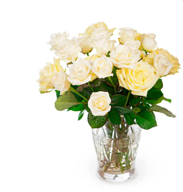 istock bouquet white Roses. white roses isolated on the white background 1410738481