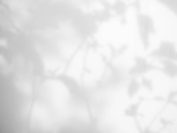 istock Blur Gray cement shadow leaves background. 1410738591