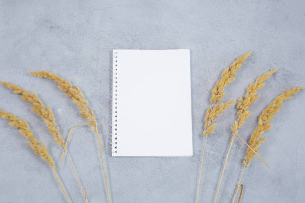 istock An open blank diary notebook, calendar with dried grass on grey concrete table. 1410741306