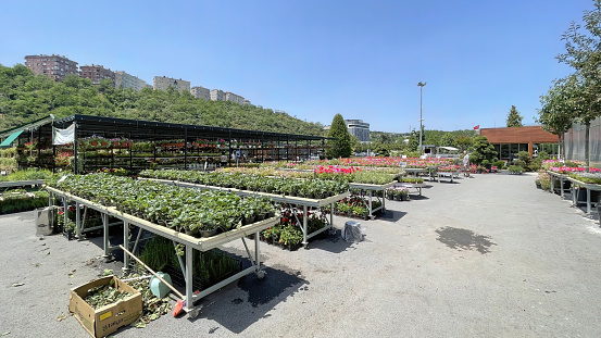 Alibeykoy, Istanbul, Turkey. June 5,2022.istanbul municipality garden market outside view with plants, trees and flowers in June and summer.