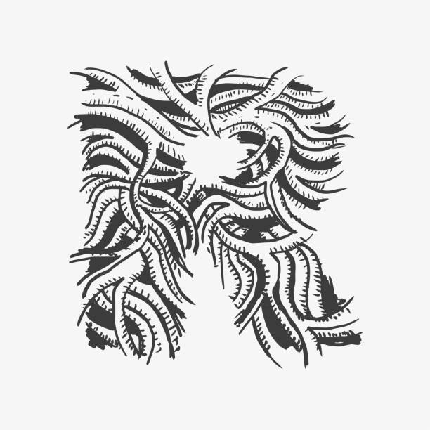 Letter R Like Roots 180+ Tree Root Font Stock Illustrations, Royalty-Free Vector Graphics ...