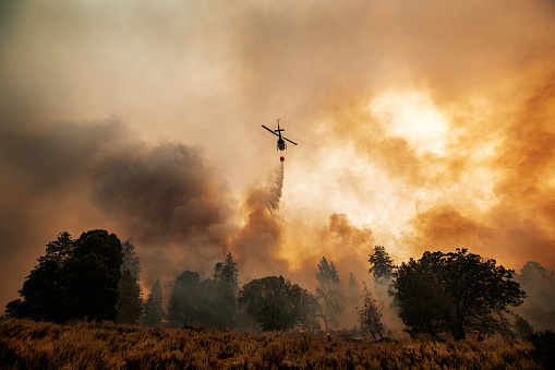 Helicopter does a water drop on a wildfire