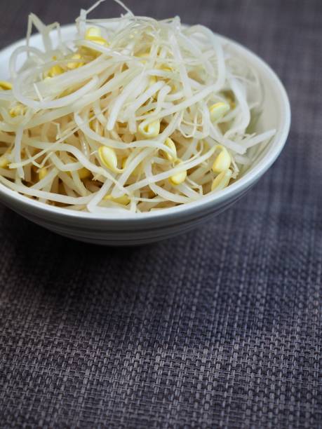 istock bean sprouts, cooking ingredients, food 1410748044