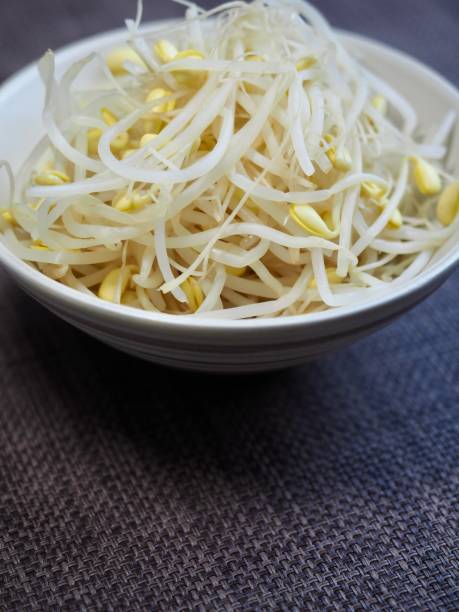 istock bean sprouts, cooking ingredients, food 1410748053