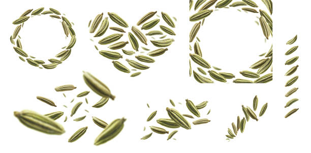 A set of photos. Fennel seeds levitate on a white background stock photo
