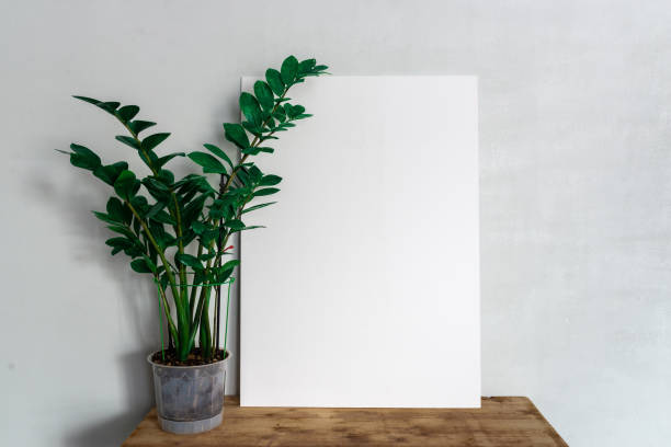 istock White frame with space for writing on a table with a flower in a pot. Zamioculcas on the table. 1410753856