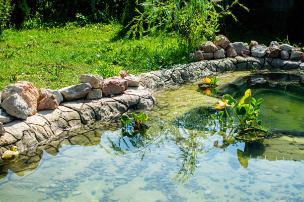 istock Small pond in the garden as landscaping design element. 1410756128