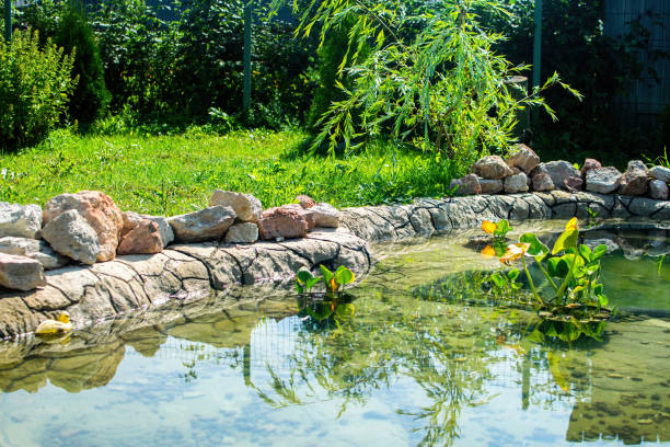 Beautiful small pond in the garden as landscaping design element.