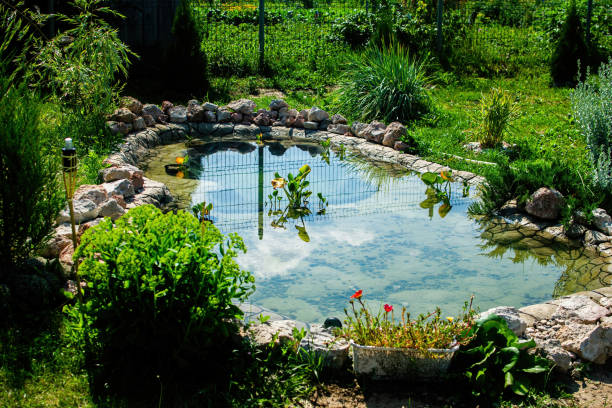 istock Small pond in the garden as landscaping design element. 1410756132