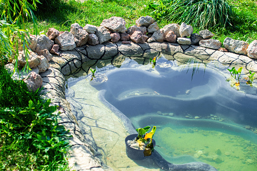 Beautiful small pond in the garden as landscaping design element.