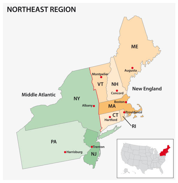 미국 인구 조사 지역 북동부의 행정 벡터 맵 - new england region stock illustrations