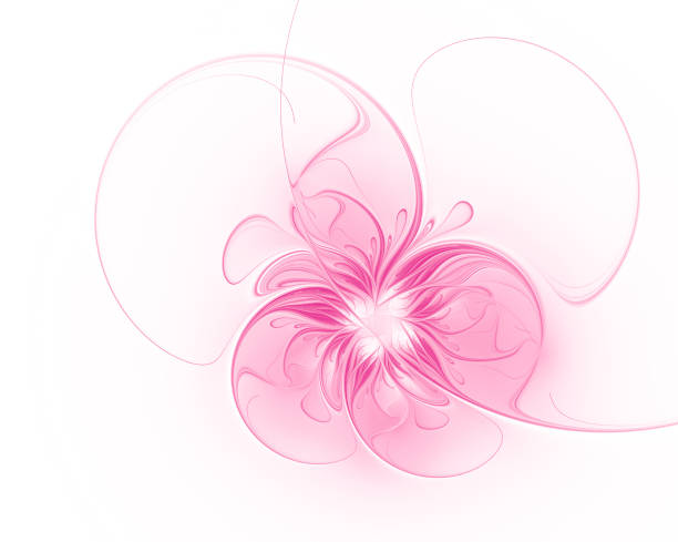 Pink fractal flower on white background