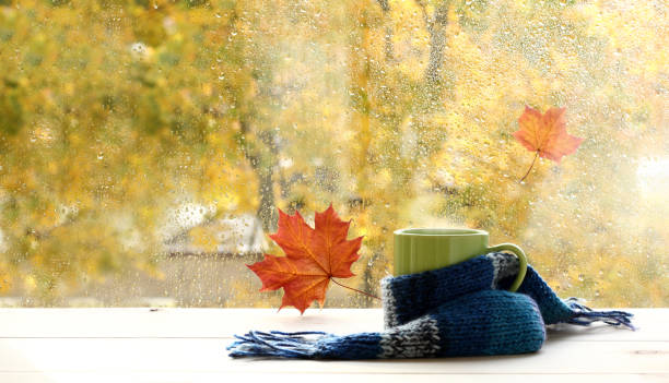 istock cozy golden autumn atmosphere 1410757769