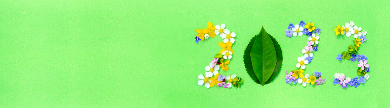 2023 from flowers on a green textured background. Website header banner. New Year. Spring banner