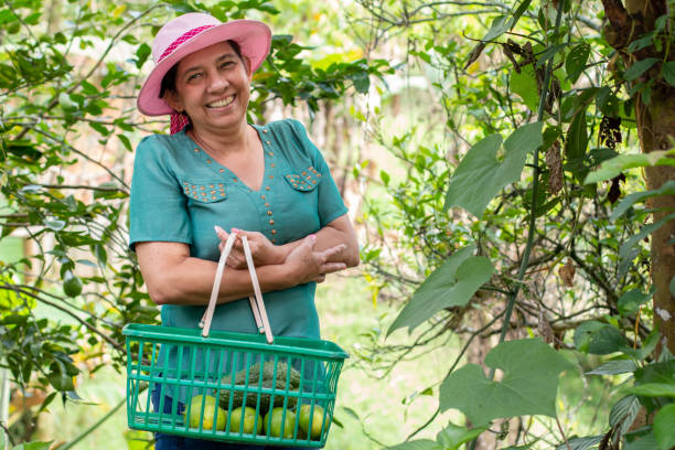 портрет зрелой женщины-фермера, улыбающейся. счастливая зрелая женщина на колумбийском урожае. - mature women portrait hat human face стоковые фото и изображения