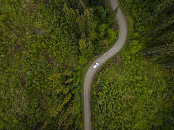 istock Car driving through lush forest on a forestry road 1410758928