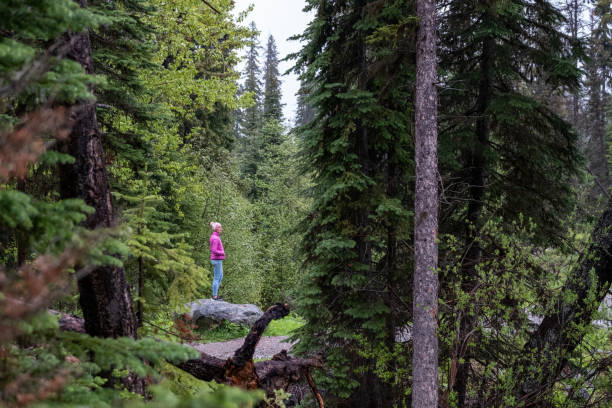 istock Woman enjoying nature 1410758956