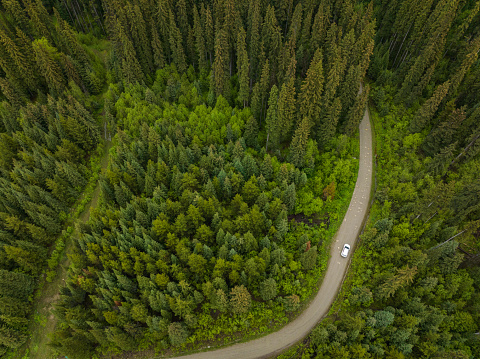 Aerial view of a White car driving on an idyllic country road through a lush green forest. Exploring the beautiful outdoors