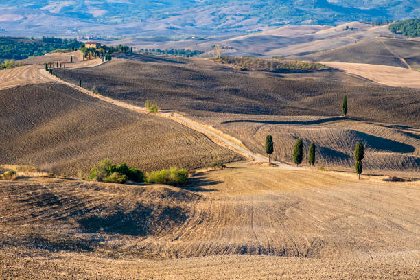 istock 'Champs Elysees' in Val d'Orcia - Tuscany 1410761188
