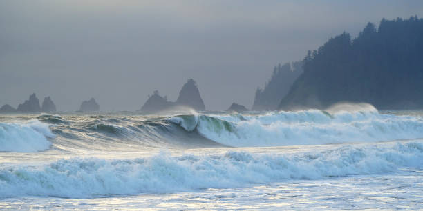 istock Breaking Waves at Rialto Beach, Olympic Peninsula, Washington State, USA, in evening sunlight. 1410761290