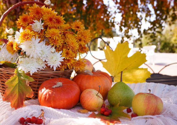 istock Beautiful autumn fall composition with bench, basket with white and orange chrysanthemums, pumpkins and fruits. Concept of Thanksgiving day or Halloween. Autumn background. 1410762159