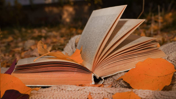 istock Moody autumn background with book, yellow falling leaves and knitted plaid. 1410762167