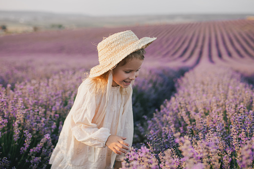 Happy 5 years old girl in straw hat and white dress enjoying flower fragrance in lavender field.