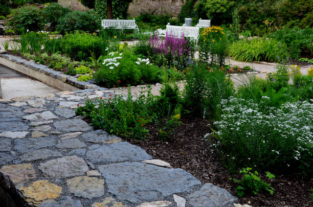 rough-hewn limestone stones on the paving of a path in a park above a regularly shaped pond. tralk beds around. gray and brown mix of flat stone tiles rough-hewn limestone stones on the paving of a path in a park above a regularly shaped pond. tralk beds around. gray and brown mix of flat stone tiles, lythrum, salicaria roughhewn stock pictures, royalty-free photos & images