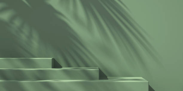 istock 3D shelf on wall with tree shadow on green and orange background ,summer product mockup background,3D render illustration 1410767549