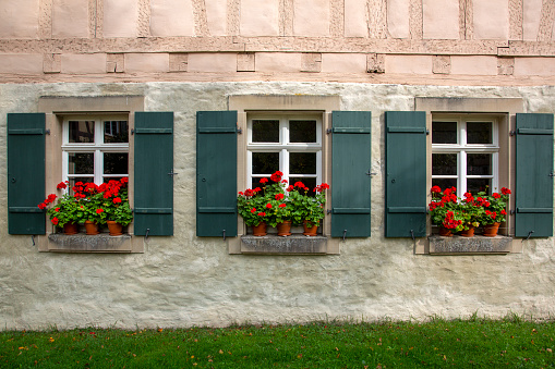 Blue wooden windows with multicolored flower pots in retro look.