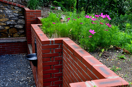 rugged backyard with brick walls and flower pots. alcoves for benches and a sink in the park behind the fence. garden terrace with stone, pumice stone, sedum plant, bipinnatus, cleome, cosmos, hassleriana, plectranthus, spinosa
