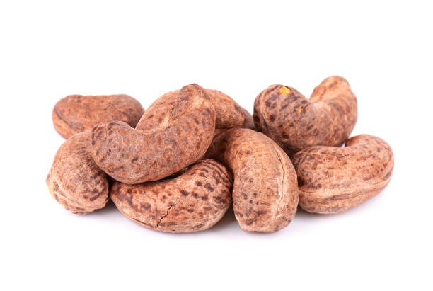 istock Cashew nuts in shell isolated on white background. Roasted and salted cashew nuts. 1410769301