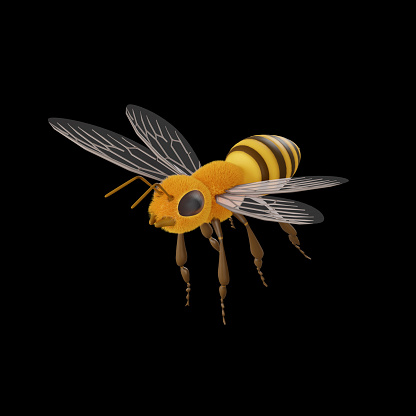 Model for one bee isolated from black backgrounds 3D cartoon character for bee with facial and body hair along with yellow and brown color 3D rendering illustration