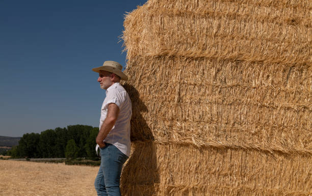 istock Adult man in cowboy hat in fields. Castilla y Leon, Spain 1410771689