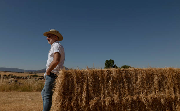 istock Adult man in cowboy hat in fields. Castilla y Leon, Spain 1410771714