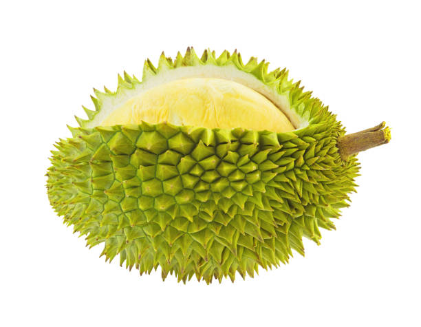 istock Fresh durian isolated on white background 1410774686