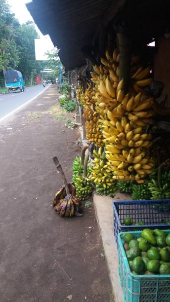 istock banana sale 1410779348
